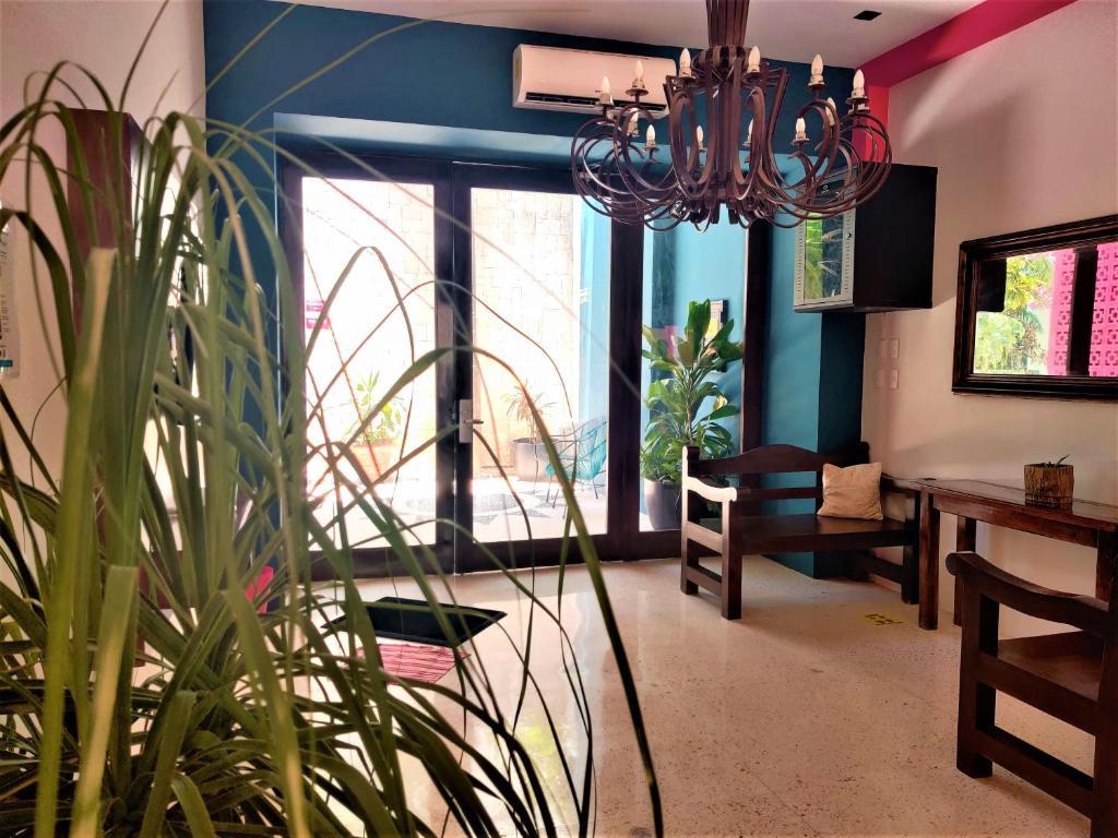 Hotel Mariachi By Kavia 5Th Av بلايا ديل كارمن المظهر الخارجي الصورة